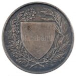 Berán Lajos (1882-1943) ~1930. 'ORSZÁGOS TESTNEVELÉSI TANÁCS' ezüstözött Br emlékérem (40mm) T:1 patina HP 1282 - Image 2