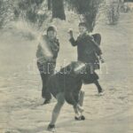 Magyar Cserkész 1937 XIX. évfolyam ( teljes ), jó állapotban - Image 2