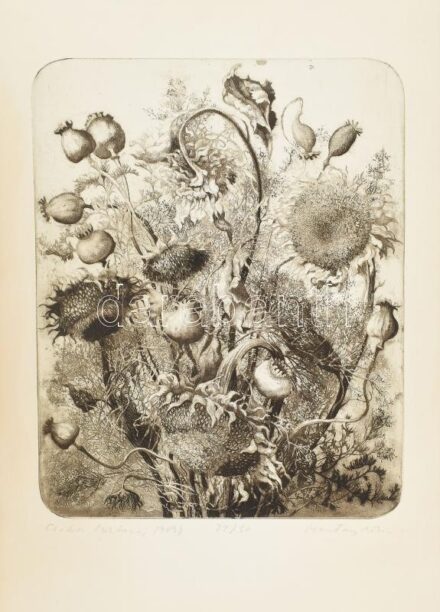 Hertay Mária (1932-2018): Csokor. Rézkarc, papír. Jelzett. Számozott: 21/50. Lapszéli kisebb szakadásokkal. 48x39 cm