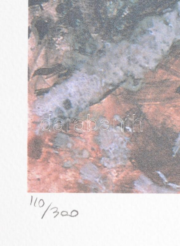 Marc Chagall (1887-1985):. Ofszet- lito, papír, jelzett a nyomaton, 'S:P.A.D:M. Paris' szárazpecséttel Aviomar Italia tanúsítvánnyal Számozott:110 /300. Képméret: 36x54 cm. Lap méret 50x70 cm, / Numbered, marked - Image 3