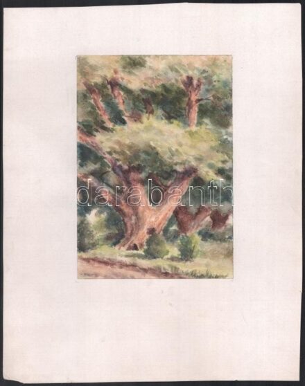 Sostarics Lajos (1896-1968): Öreg tölgy. Akvarell, papír, jelzett, kartonra kasírozva, 21,5x15 cm