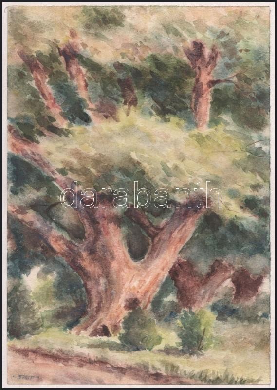 Sostarics Lajos (1896-1968): Öreg tölgy. Akvarell, papír, jelzett, kartonra kasírozva, 21,5x15 cm - Image 2