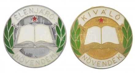 ~1970. 'Középfokú Katonai Tanintézet Kiváló Növendék /Élenjáró Növendék' aranyozott, ezüstözött, festett, műgyantás jelvény (2xklf) T:2