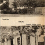 1923 Bölcske, Granarium, Tauszig Fülöp üzlete (EB)