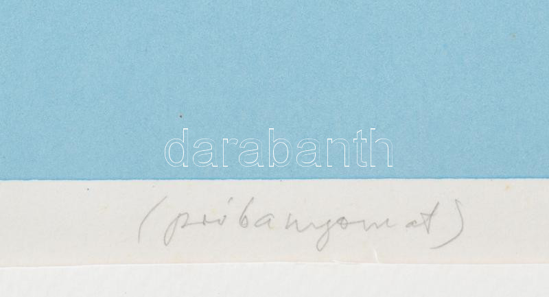 Deim Pál (1932-2016): Kripta. Szitanyomat, papír, jelzett, próbanyomat. Paszpartuban, lapszéli apró foltokkal. 35×46 cm. / Screenprint on paper, signed. Proof print. - Image 3