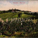 1912 Varasd, Warasdin, Varazdin; Mali vrh / szőlőhegy / vineyards
