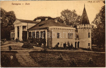1917 Tarnogóra, Dwór / Palacowa Przystan / castle + 'K.u.k. Infanterieregiment Superarbitrierungs-Abteilung'