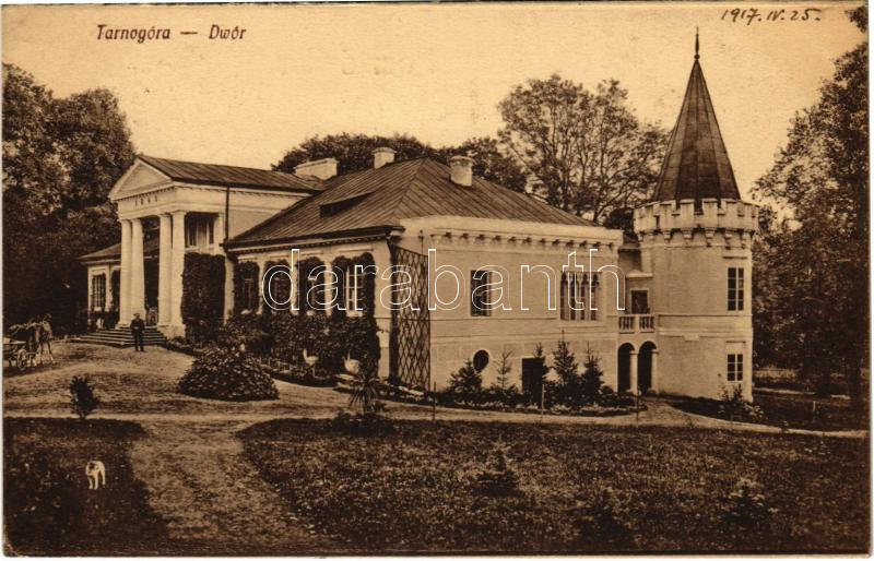 1917 Tarnogóra, Dwór / Palacowa Przystan / castle + 'K.u.k. Infanterieregiment Superarbitrierungs-Abteilung'
