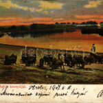1904 Hortobágy, folyó kannyájjal, magyar folklór (lyuk / pinhole)