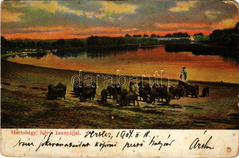 1904 Hortobágy, folyó kannyájjal, magyar folklór (lyuk / pinhole)