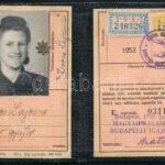 1950 Fényképes MÁV igazolvány adatgyűjtő részére