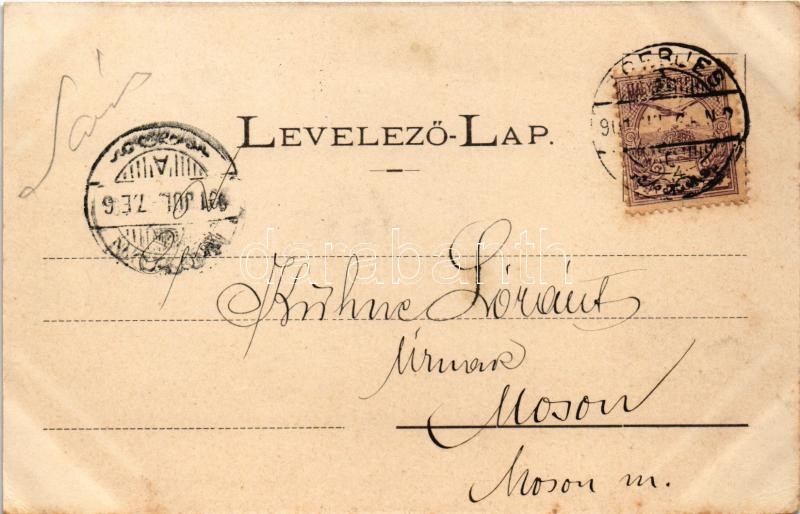 1901 Ceméte, Czeméthe, Czeméte-fürdő, Cemjata (Eperjes, Presov); Sanatorium villa, Kassa villa / villas (fl) - Image 2