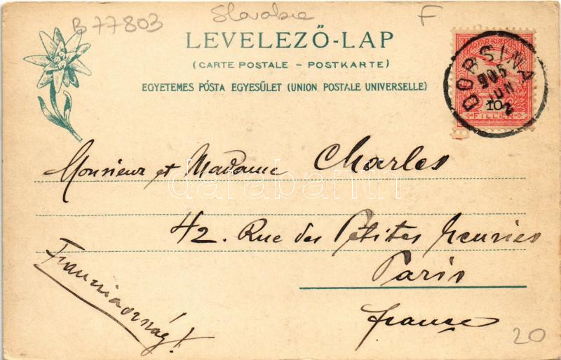 1905 Dobsina, Dobschau; Gömör. Dobsinai jégbarlang, Barlang szálloda. Feitzinger Ede 1903/13. 474. Auto-Chrom / Bei der Dobschauer Eishöhle / Dobsinská ladová jaskyna / ice cave, hotel (EK) - Image 2