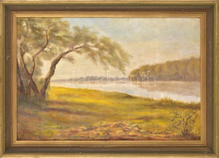 Feszty István (1897-1987): Folyópart. Olaj, karton. Jelzett. Fakeretben. 40x60 cm
