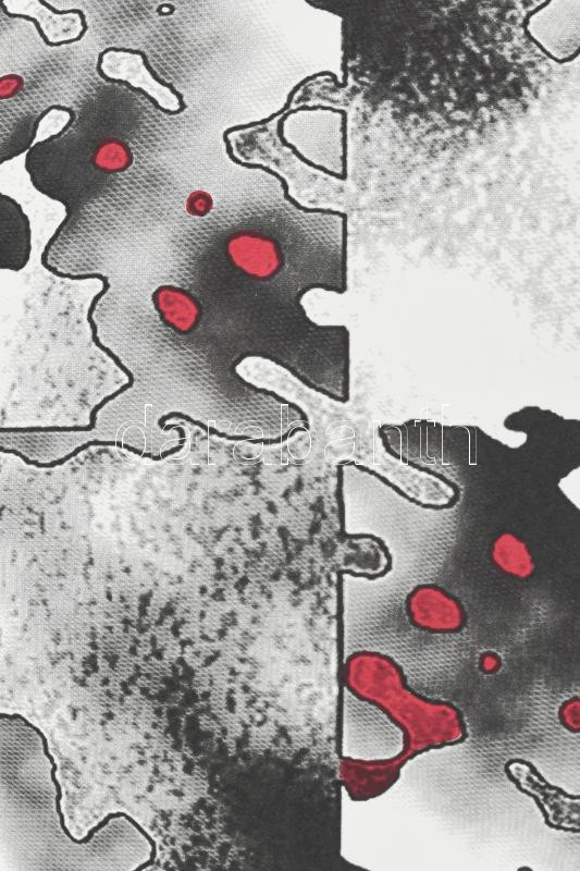 Bitó Ildikó (1966-): Létfolt II. Szitanyomat, papír. Jelzett. Művészpéldány E.A. IX/XV. számozással. 43x33,5 cm. - Image 2