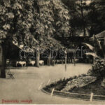 1912 Szliácsfürdő, Kúpele Sliac; Dankovszky vendéglő kertje, étterem. Molnár M. kiadása / restaurant garden (EK)