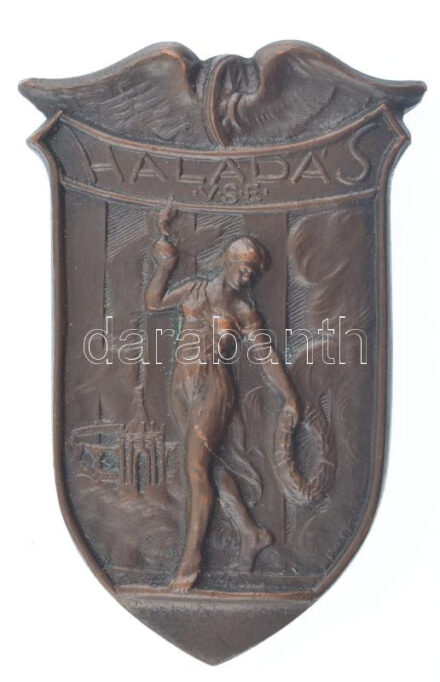 Alföldy János (1902-1966) ~1920-1930. 'Haladás Vasutas Sport Egyesület' egyoldalas bronz plakett (64x41mm) T:1- / Hungary ~1920-1930. 'Haladás (Progress) Railroaders Sport Club' one-sided bronze plaque. Sign.: János Alföldy (64x41mm) C:AU