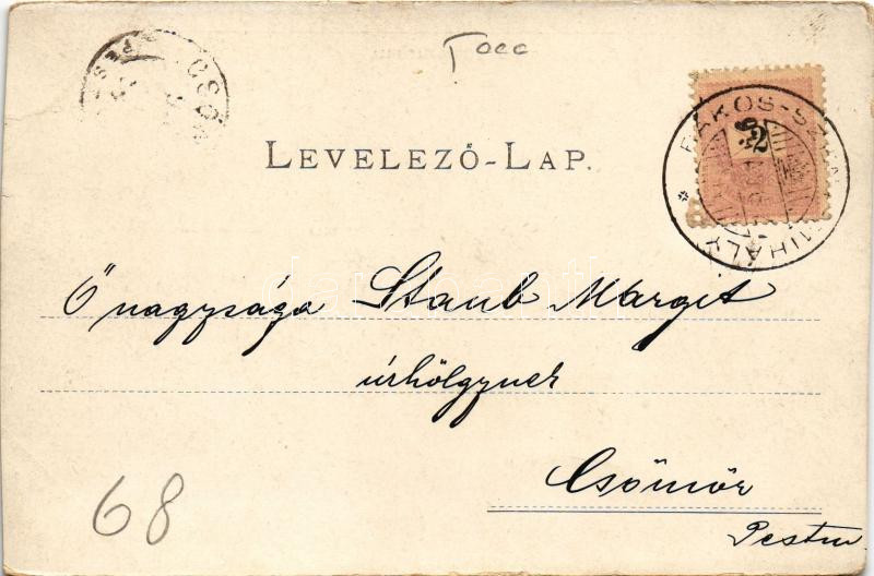 1899 (Vorläufer) Budapest XVI. Rákosszentmihály, Német Zs.-, Krajcsovits- és Gardovszky-féle villa. Divald Károly 192. sz. (vágott / cut) - Image 2