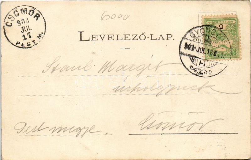 1903 Gyöngyös, Részlet a Bene utcából, üzlet - Image 2