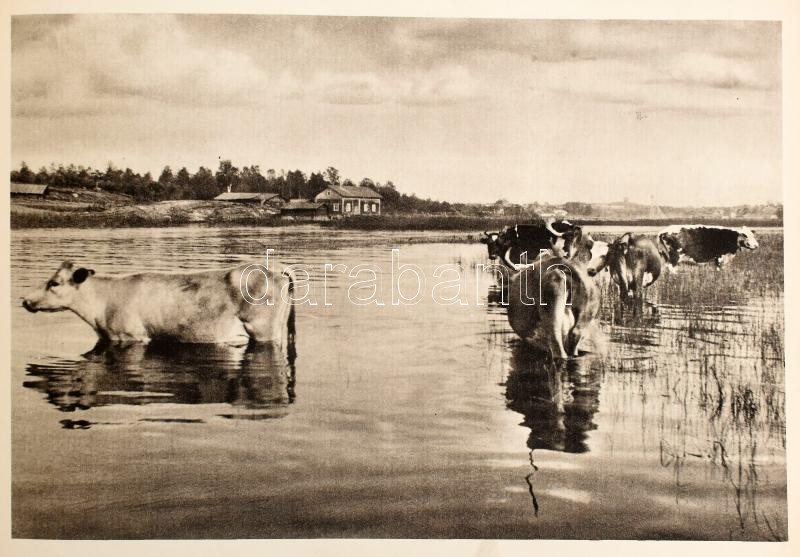 Suomi on Kaunis. Finnland ist schön. Beautiful Finland. Helsinki., 1933., Werner Söderström Osakeyhtiö. Gazdag fekete-fehér képanyaggal illusztrált. Kiadói haránt alakú félvászon-kötés, kopott borítóval. - Image 3