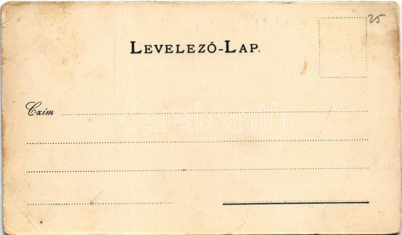 Leibic, Leibicz, Leibitz, Lubica; Kénfürdő / spa, sulfur bath, villa (kopott sarkak / worn corners) - Image 2