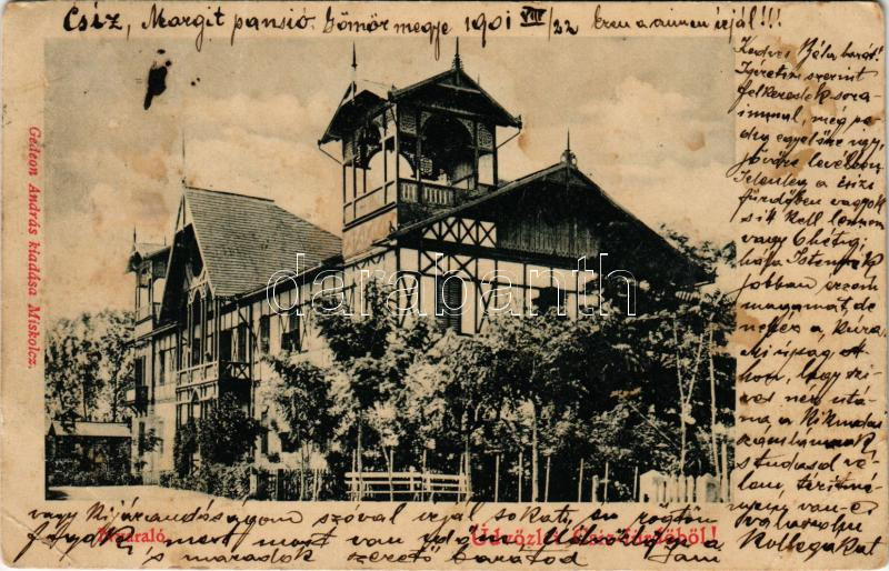 1901 Csíz, Csízfürdő, Kúpele Cíz; nyaraló. Gedeon András kiadása / villa (EB)