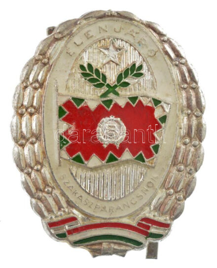 ~1970-1980. 'Élenjáró Szakaszparancsnok' ezüstözött műgyantás jelvény (40x32mm) T:1-
