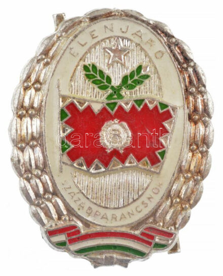 ~1970-1980. 'Élenjáró Századparancsnok' ezüstözött műgyantás jelvény (40x32mm) T:1-