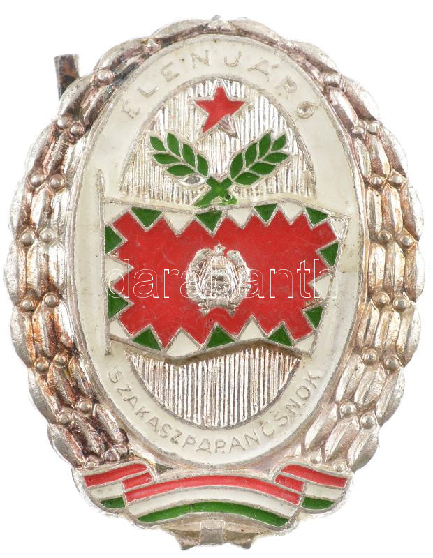 ~1970-1980. 'Élenjáró Szakaszparancsnok' ezüstözött műgyantás jelvény (40x32mm) T:1-