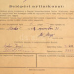 1944 Magyar Nemzetiszocialista Párt kitöltött belépési nyilatkozat - Image 3