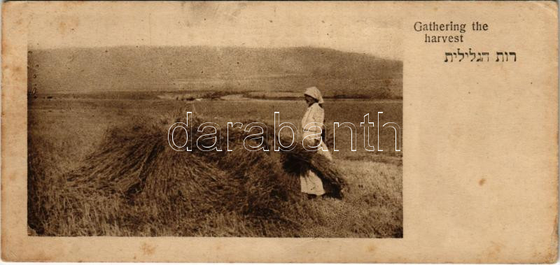 Gathering the harvest. Judaica (14,2 cm x 6,8 cm) (fl)