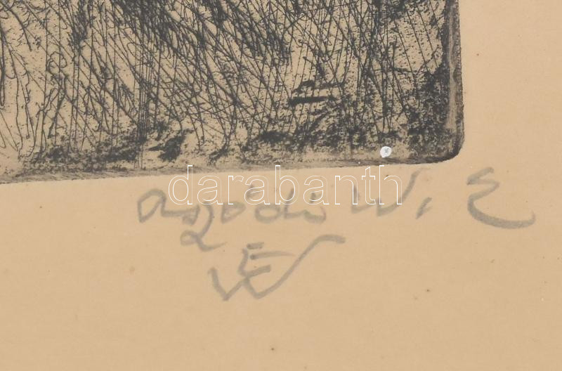 Aszódi Weil Erzsébet (1901-1976): Veszprémi Állatkertben. Rézkarc, papír, jelzett, üvegezett fakeretben, 19,5×30 cm - Image 2