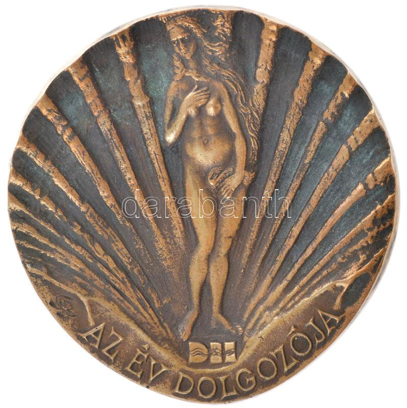 ~1990. 'DH (Danubius Hotels) - Az év dolgozója' kétoldalas bronz plakett. Szign.: SZGY (123mm) T:1- patina