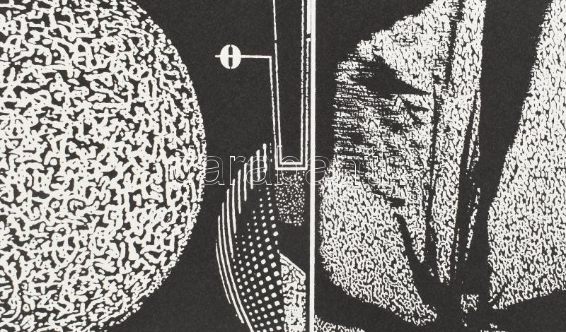 Joseph Kádár (1936-2019): Dualité. Szitanyomat, papír, jelzett, számozott (91/100), hátoldalán a művész bélyegzőjével, 22x58 cm / Joseph Kádár (1936-2019): Dualité. Screenprint on paper, signed, numbered (91/100), with the artist's - Image 2