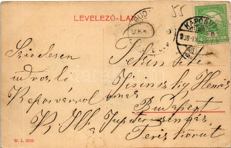 1908 Kaposvár, Magyar államvasutak nevelő- és tápintézete. W.L. 2549. (EK) - Image 2