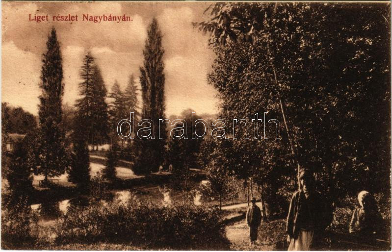 1911 Nagybánya, Baia Mare; Liget részlet. Kovács gyula kiadása / park