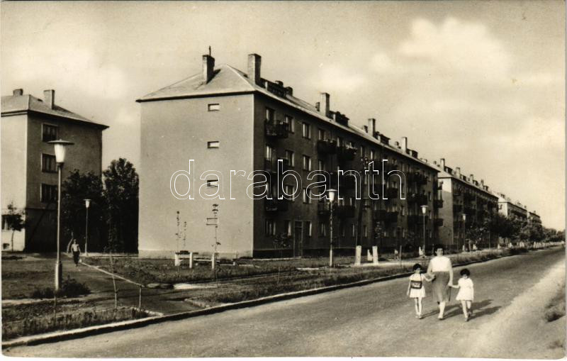 ~1960 Szigetszentmiklós, lakótelep. Képzőművészeti Alap