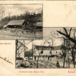 1905 Diósd, Gróf Wimpfen-féle állatkert, Erdészeti ház (Kutya vár). Schneider Nándor kiadása (EB)