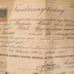 1924 Bőröndös oklevele erősen sérült 70x50 cm - Image 2
