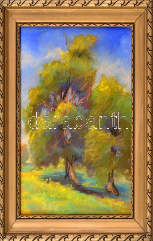 Bertalan Rózsa (1900-1987): Színes táj. Pasztell, papír, jelzés nélkül, üvegezett fakeretben, 28,5x18,5 cm