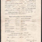 1918-1920 Eihorn Rózsi izraelita vallású tanuló 5 db iskolai bizonyítványa