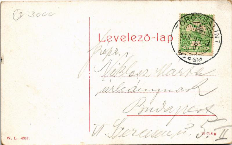 1910 Törökbálint, Iskola utca szobrokkal. W.L. 4307. (kis szakadás / small tear) - Image 2