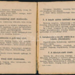 cca. 1920 Okkult ismeretek, jóslás tenyérből. Magyar könyvkiadó Budapest, - Image 2