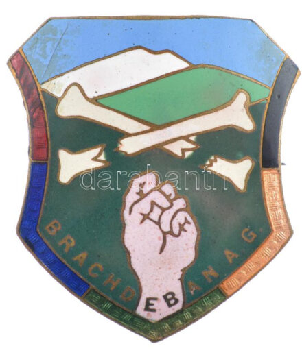 Ausztria (?) DN 'Brach de ban A.G.' zománcozott fém kitűző (~40x36mm) T:1- kis zománchiba Austria (?) ND 'Brach de ban A.G.' enamelled metal badge (~40x36mm) C:AU small enamel error
