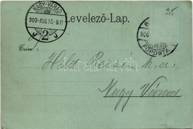 1900 Érsekújvár, Nové Zámky; Kossuth Lajos tér, Szálloda az Arany Oroszlánhoz, üzletek. Conlegner J. és fia kiadása / square, hotel, shops (EK) - Image 2