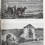 Tamaskó Ödön: Zempléni-hegység. Bp., 1958, Bibliotecha. Félvászon kötés, kopottas állapotban. - Image 2