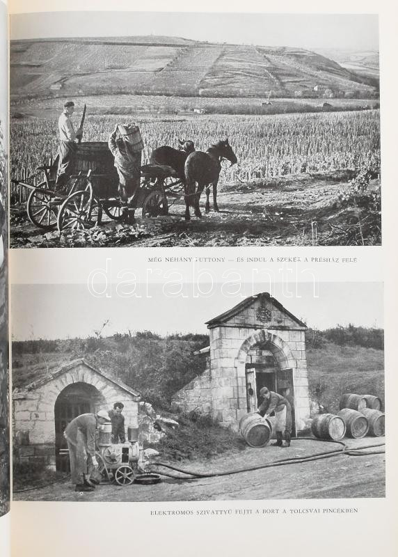Tamaskó Ödön: Zempléni-hegység. Bp., 1958, Bibliotecha. Félvászon kötés, kopottas állapotban. - Image 2