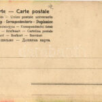 Du alter Drahrer! - ich kann's denken, Die frische Kur musst' oft anwenden / drunk man humour, litho (EK) - Image 2