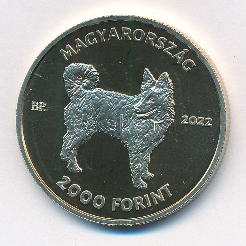 2022. 2000Ft Cu-Ni-Zn 'Mudi' tájékoztatóval T:P