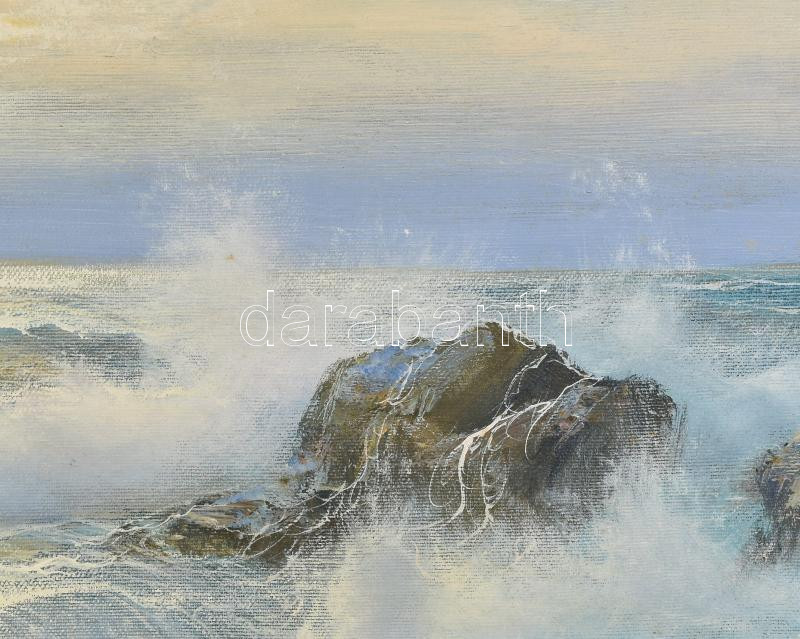 Castellani jelzéssel: Háborgó tenger. Olaj, vászon. 50x70 cm. Dekoratív fakeretben. - Image 3
